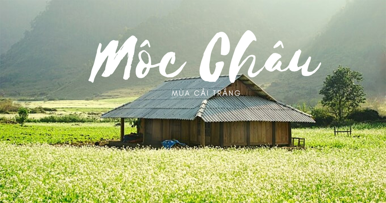 Thuê Xe Du lịch 7 Chỗ đi Mộc Châu